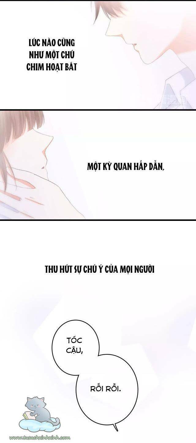 Chương 53 - Trang 29