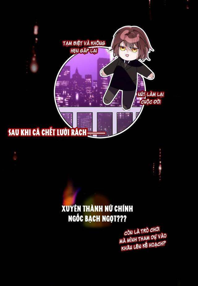 Chương 1 - Trang 21