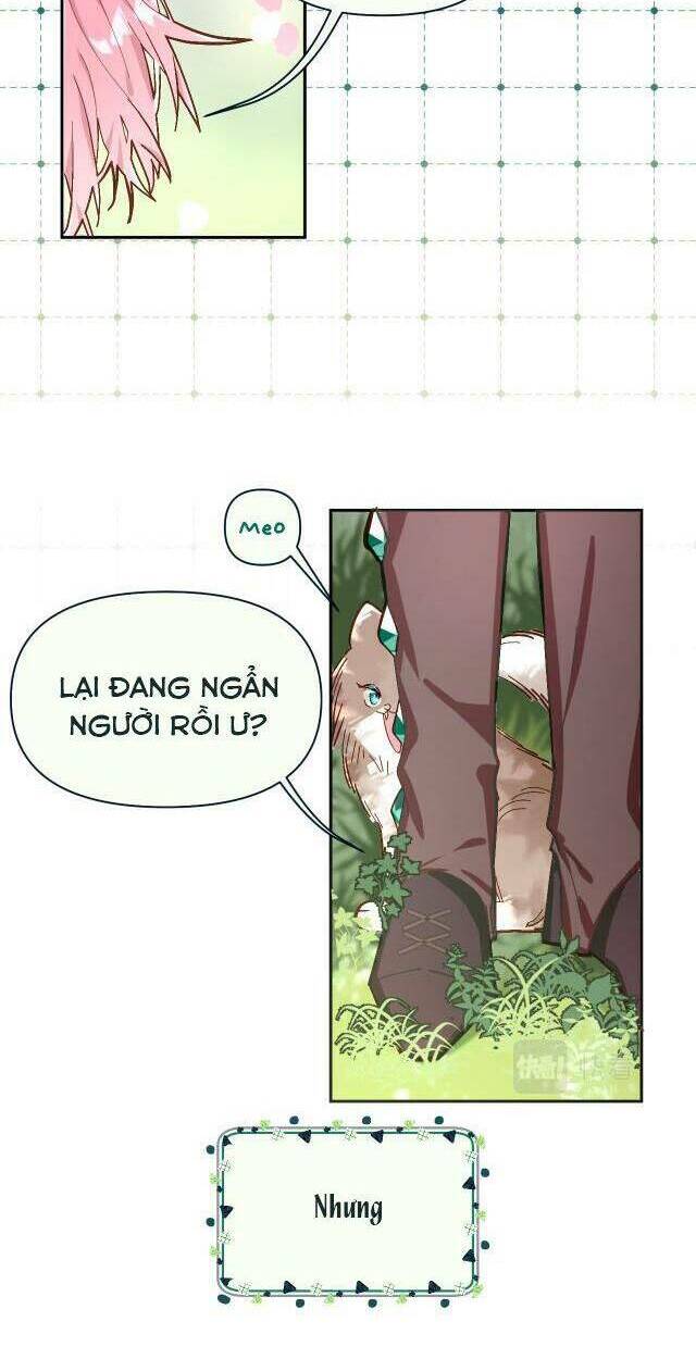 Chương 2 - Trang 4