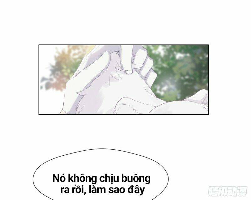 Trang 48