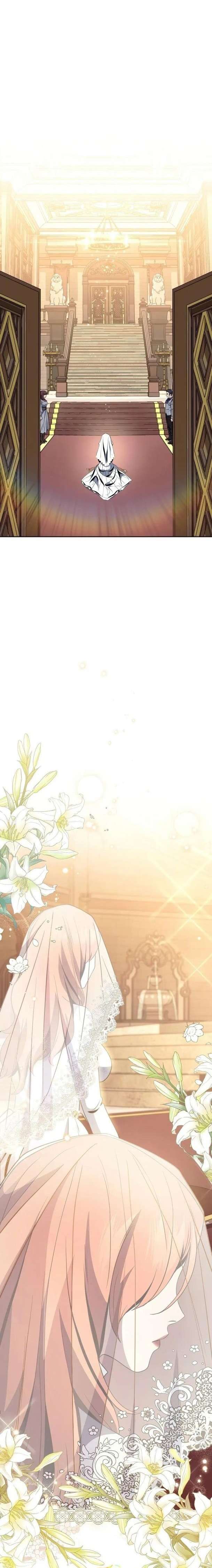 Chương 254 - Trang 8