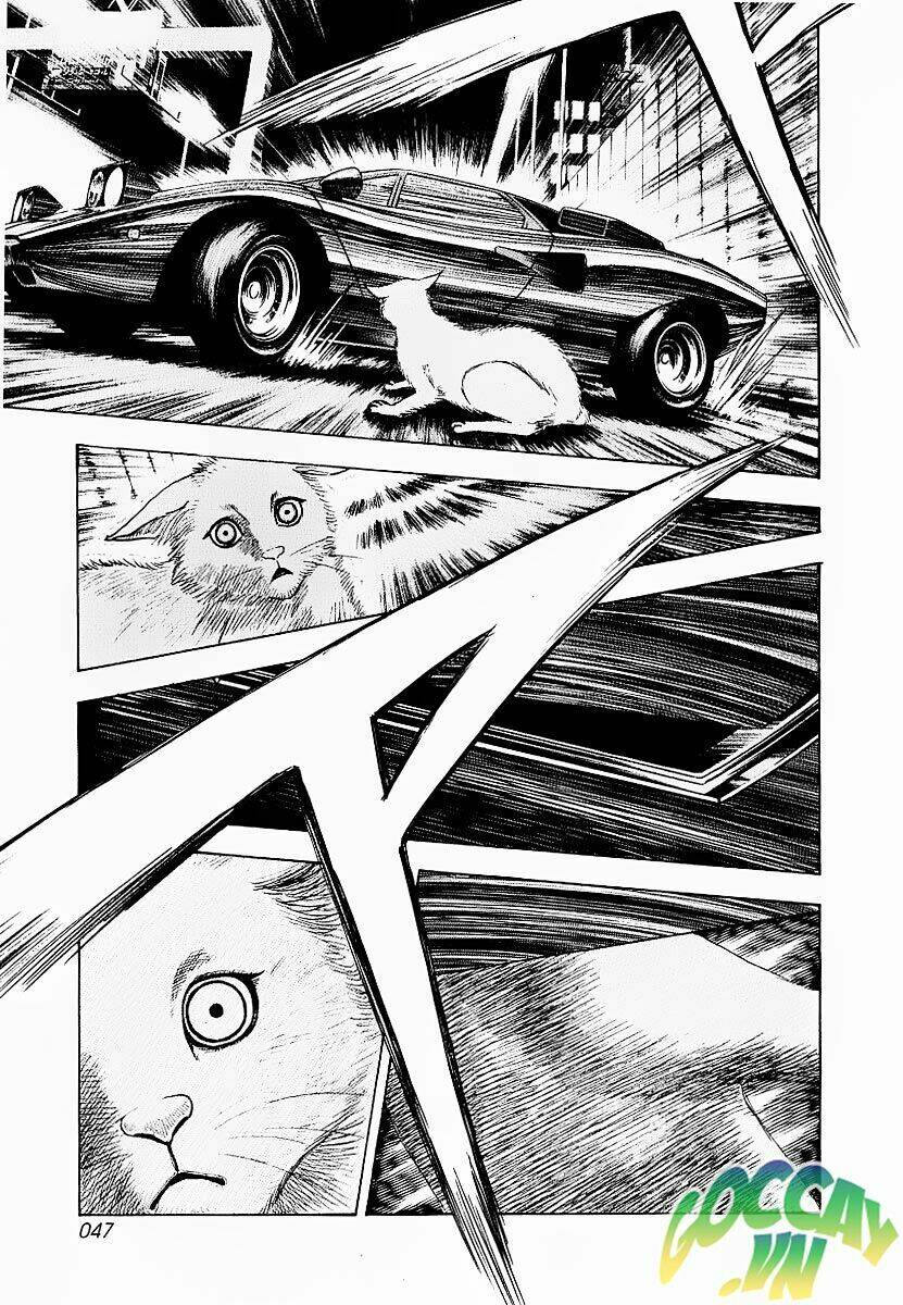 Chapter 16.5 - Trang 24