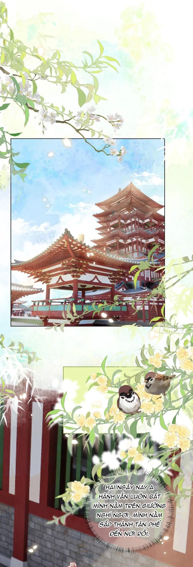 Chương 23 - Trang 13