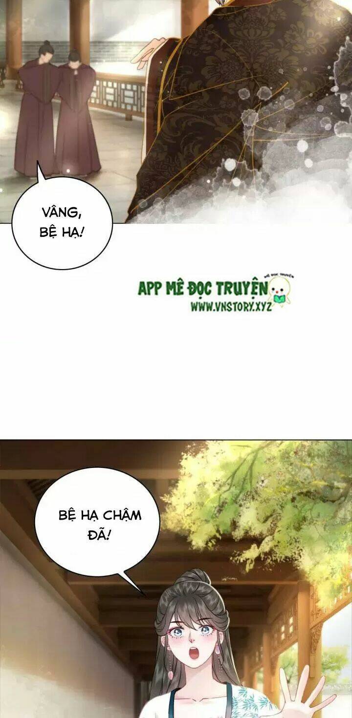 Chương 102 - Trang 15