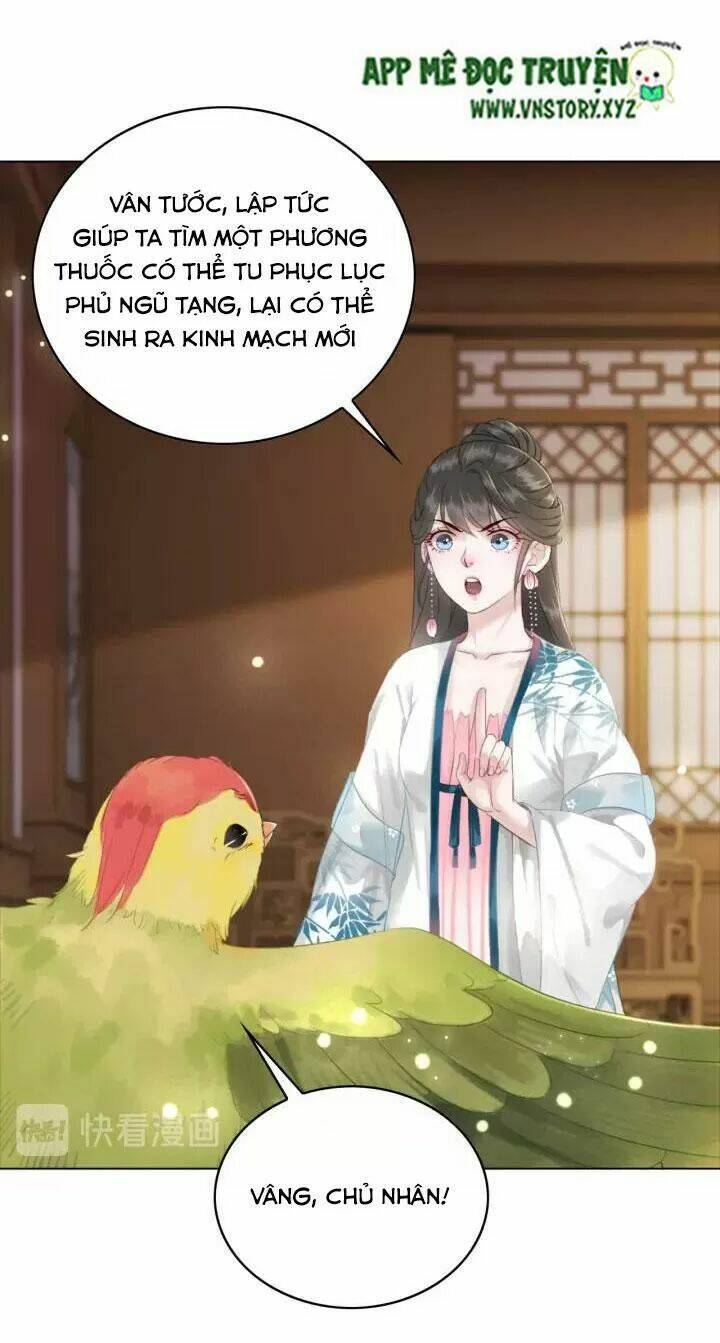 Chương 104 - Trang 41