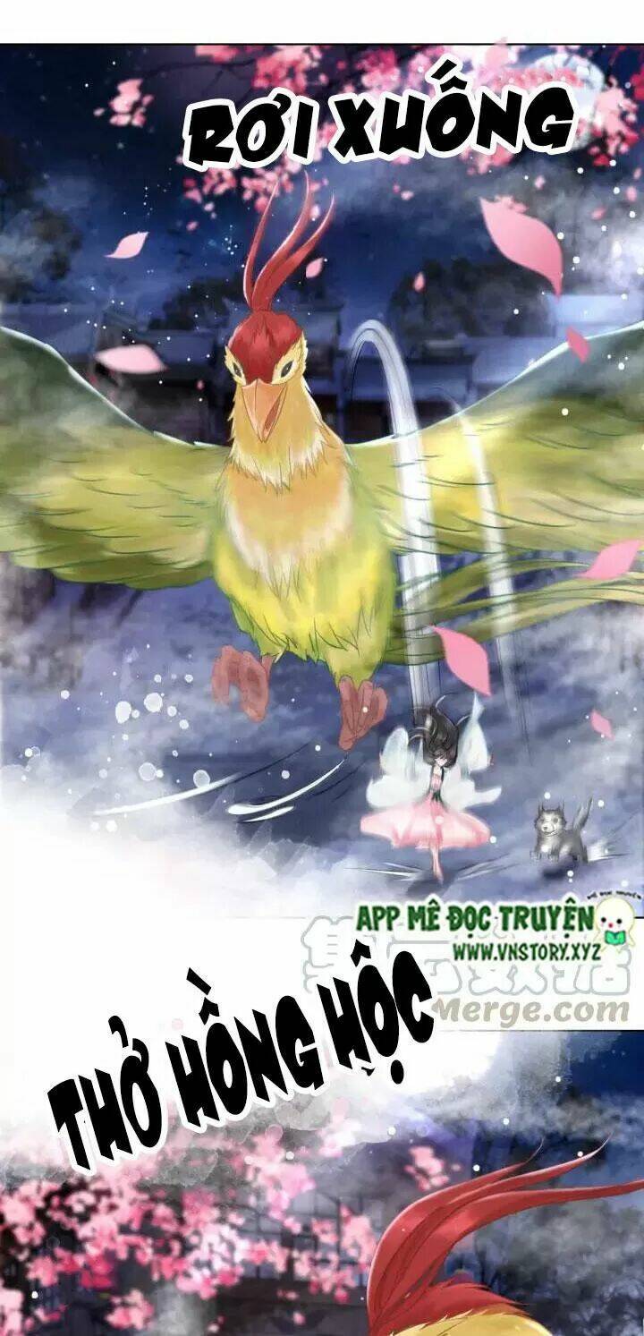 Chương 105 - Trang 12