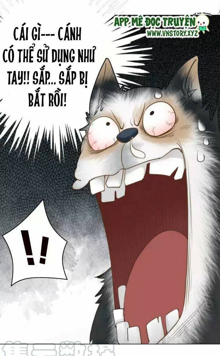 Chương 106 - Trang 25