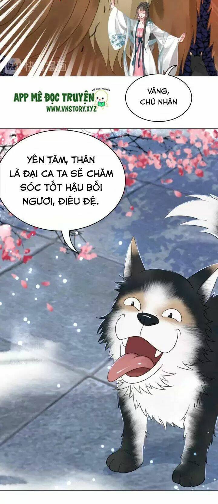 Chương 108 - Trang 11