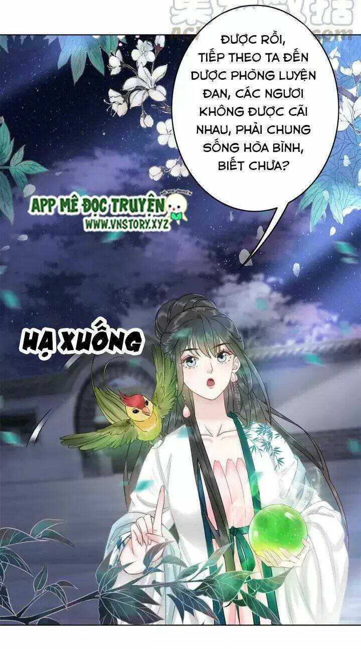 Chương 108 - Trang 17