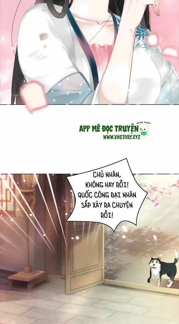 Chương 114 - Trang 15
