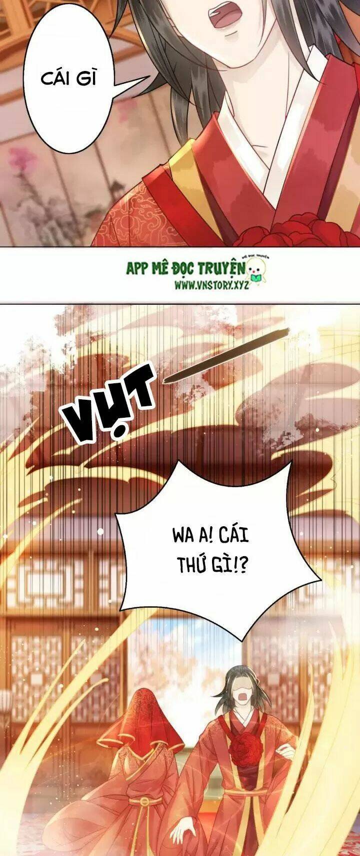 Chương 116 - Trang 13