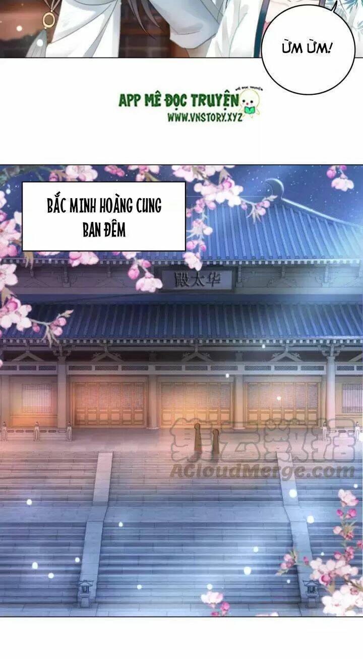 Chương 119 - Trang 15