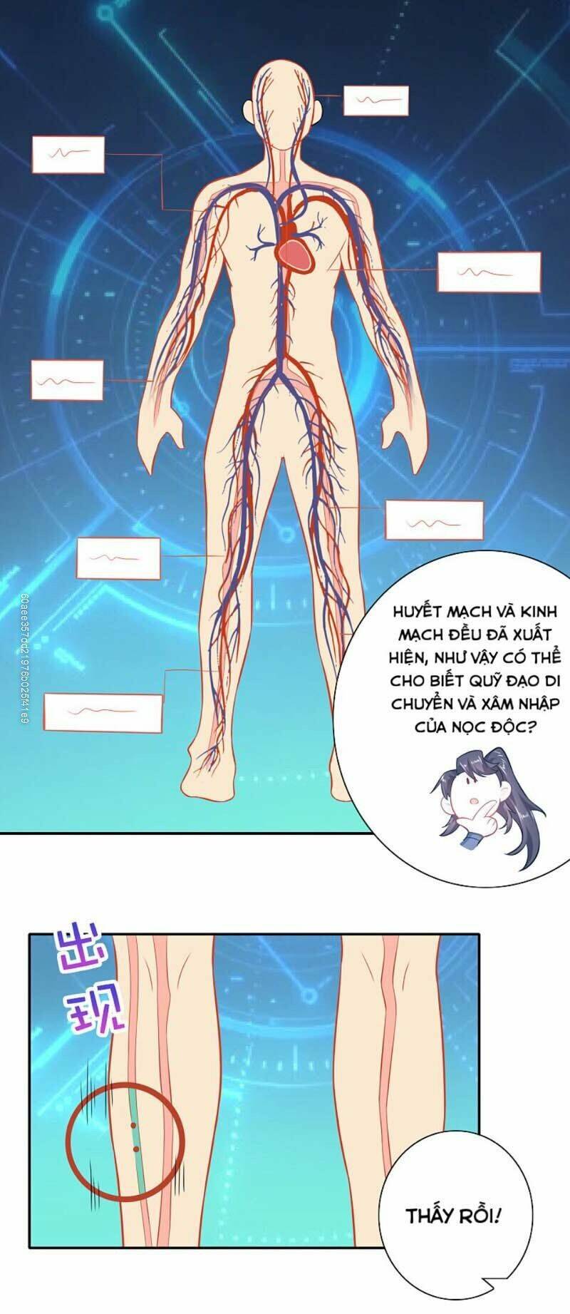 Trang 5