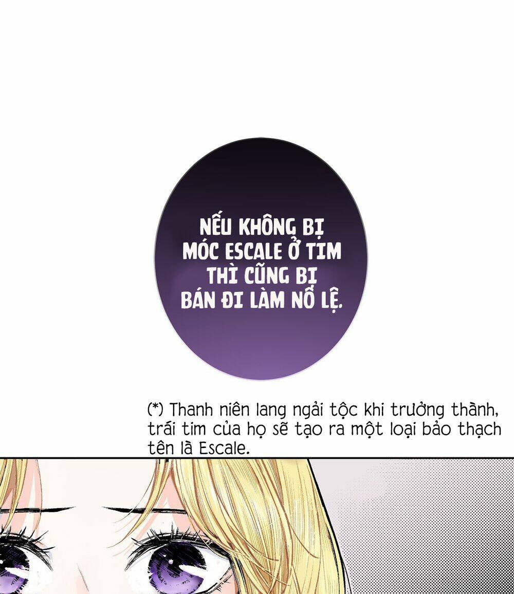 Chương 3 - Trang 24