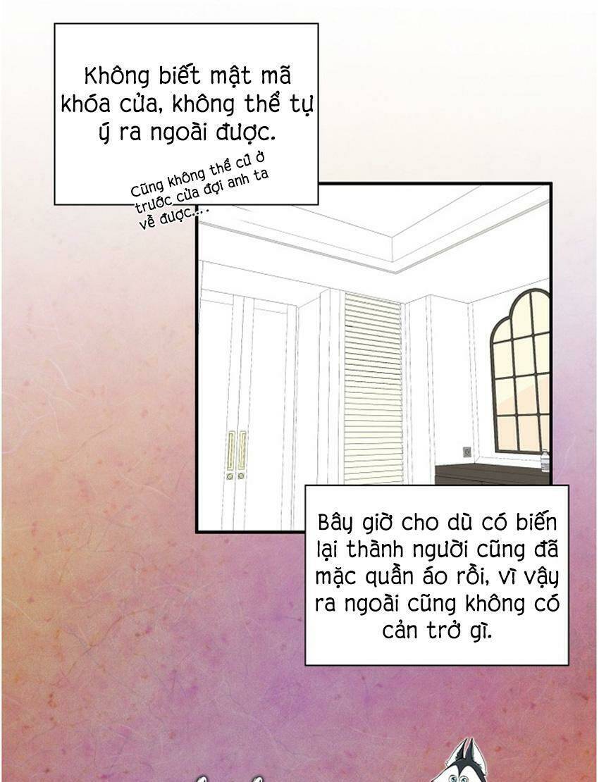 Chương 17 - Trang 11