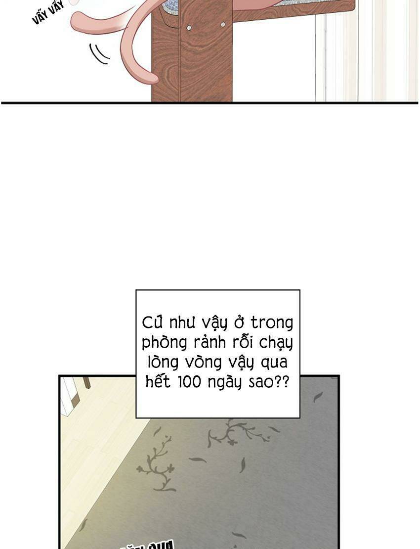 Chương 17 - Trang 13