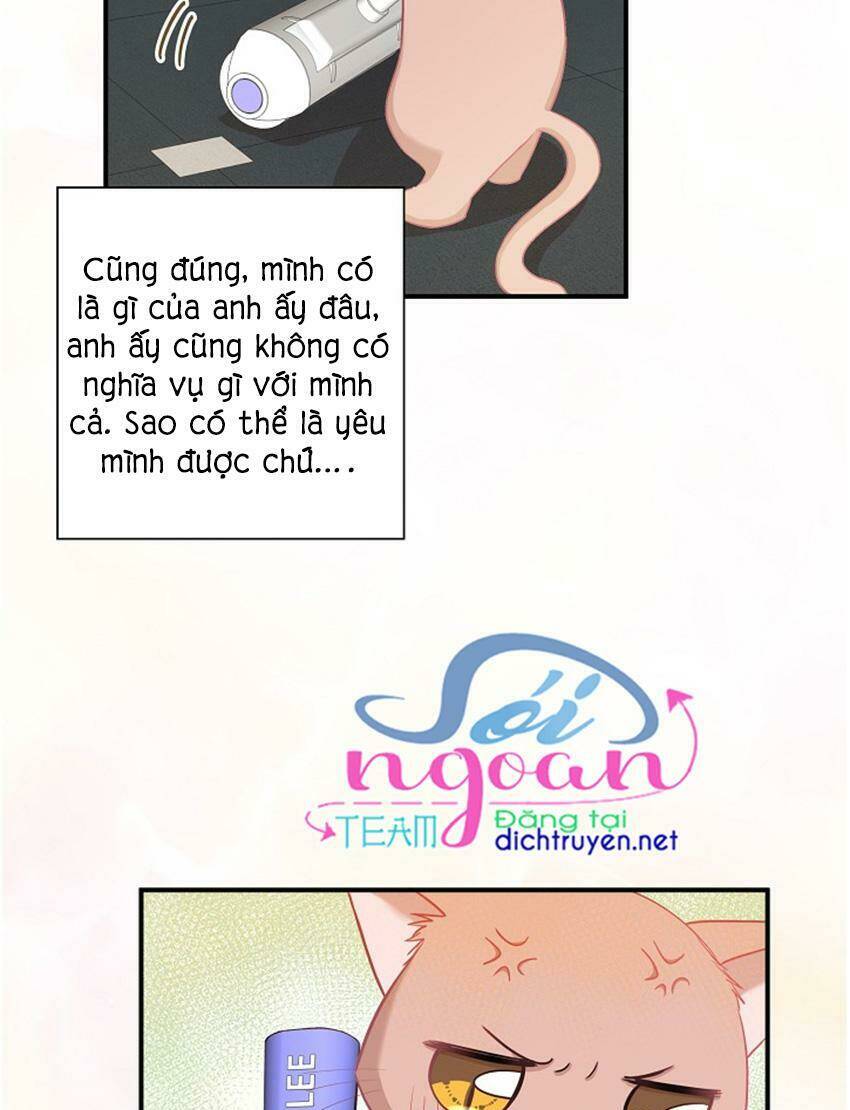 Chương 17 - Trang 5