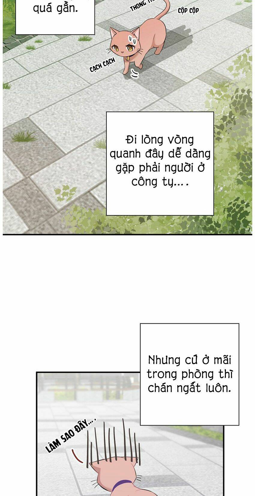Chương 21 - Trang 11