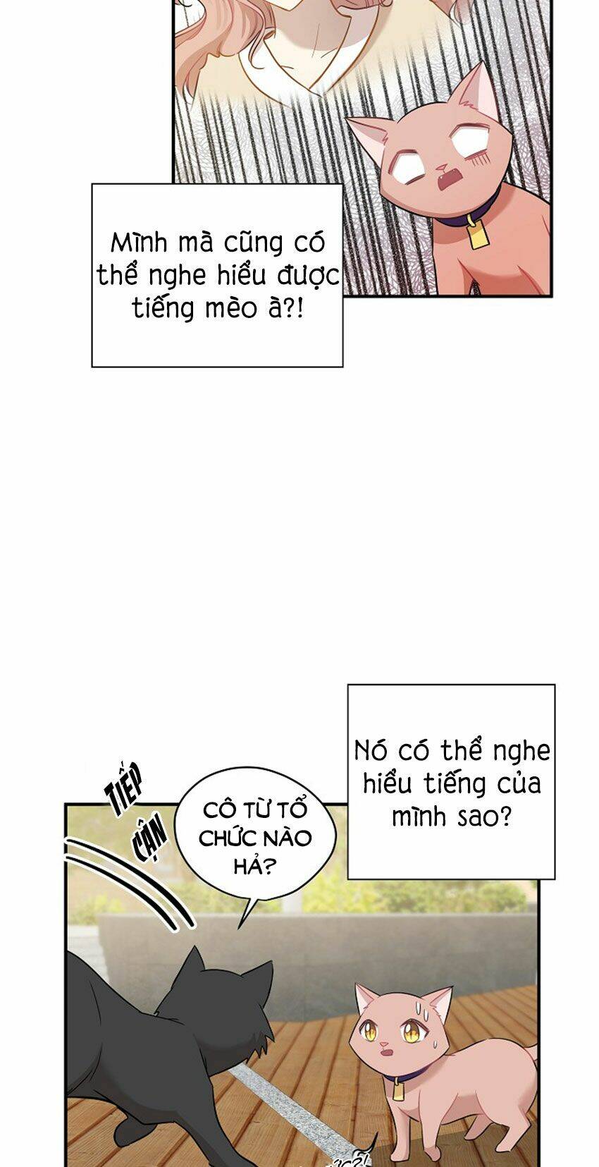 Chương 21 - Trang 14