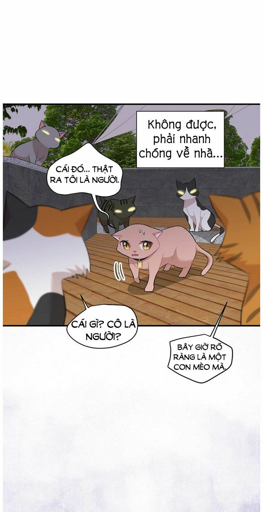 Chương 21 - Trang 17