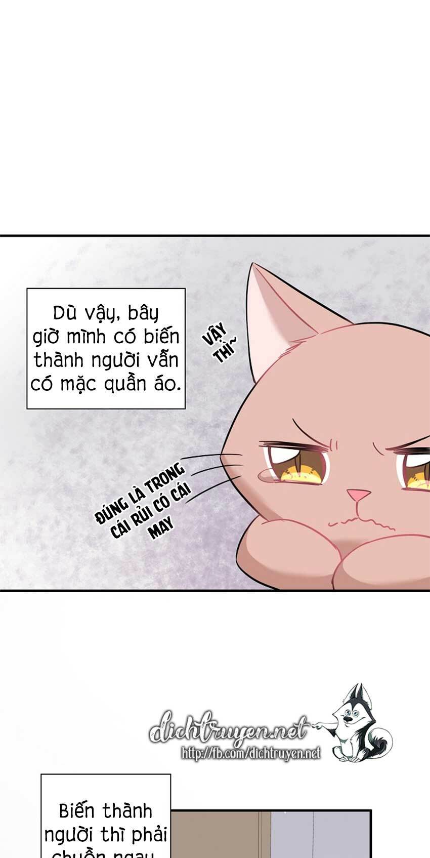 Chương 22 - Trang 16