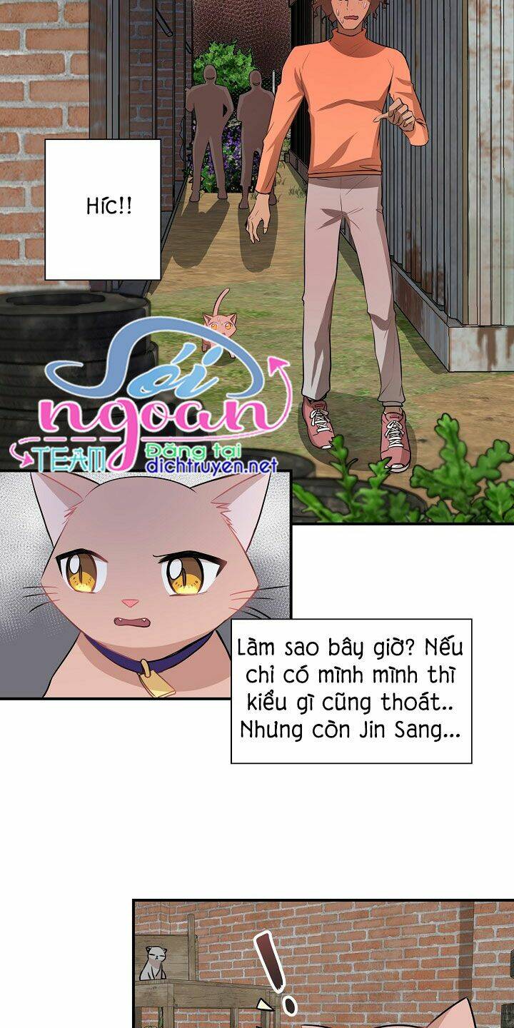 Chương 26 - Trang 33