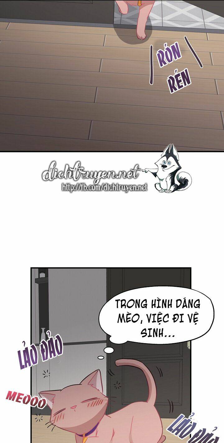 Chương 35 - Trang 1