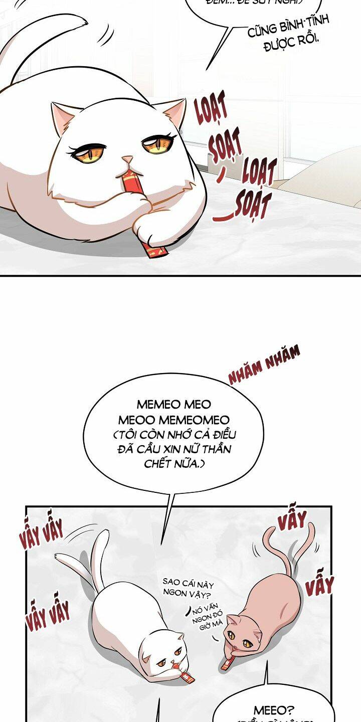 Chương 44 - Trang 48