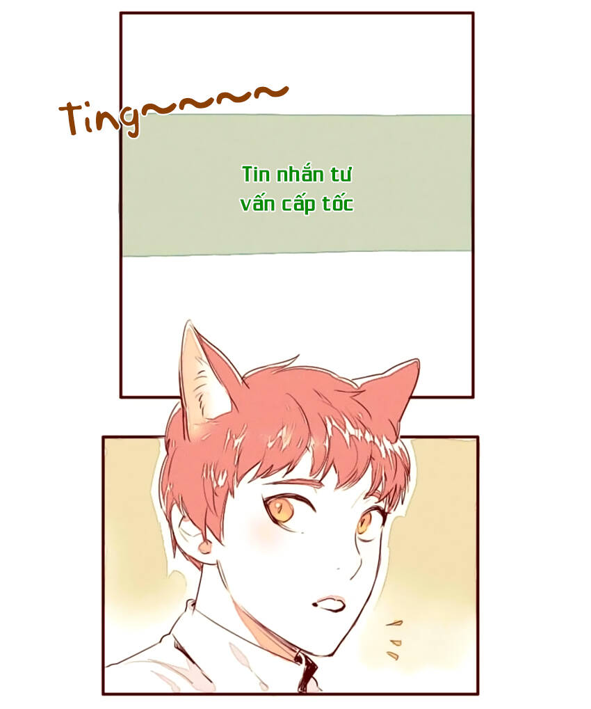 Chương 1 - Trang 20