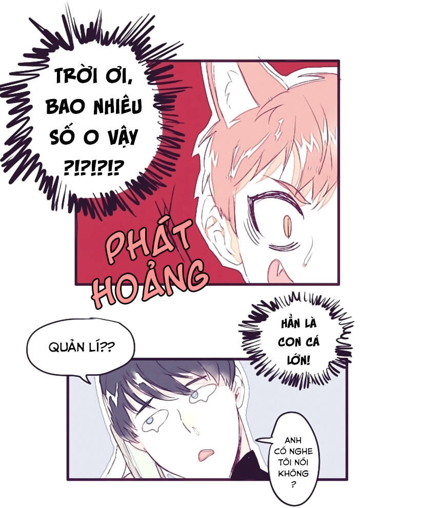 Chương 2 - Trang 19