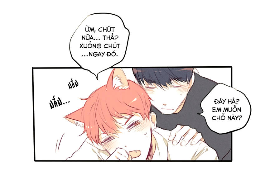 Chương 23 - Trang 14