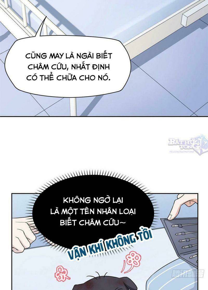 Chương 21 - Trang 31