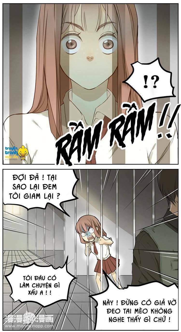 Trang 17