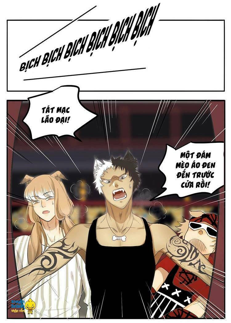 Trang 17