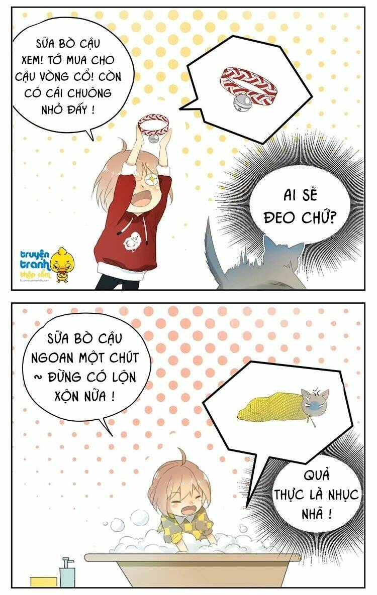 Trang 17