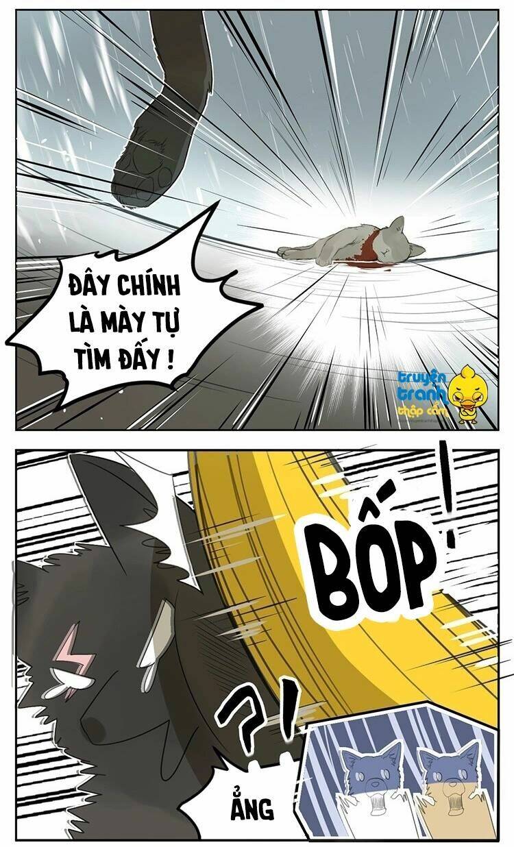 Trang 19