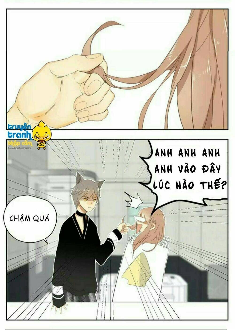 Trang 17