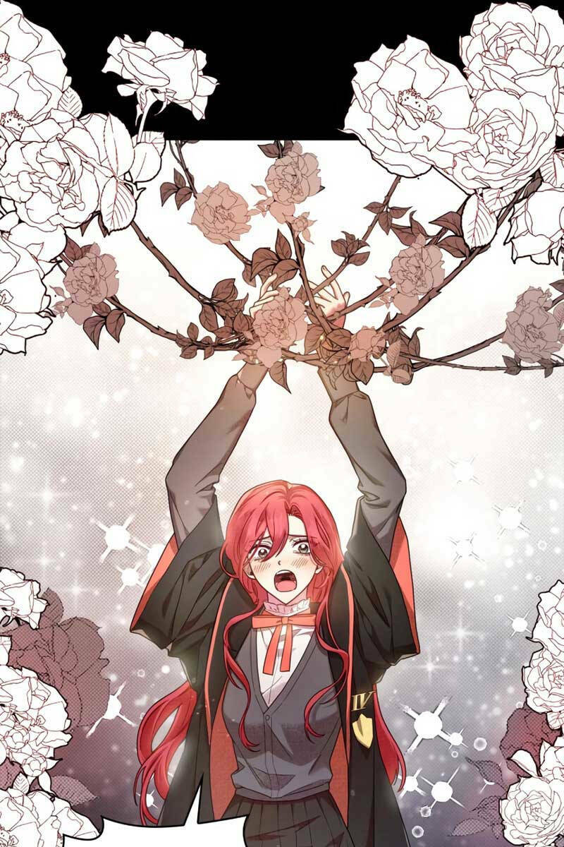 Đại Pháp Sư Toàn Năng - Chap 28 - Trang 2