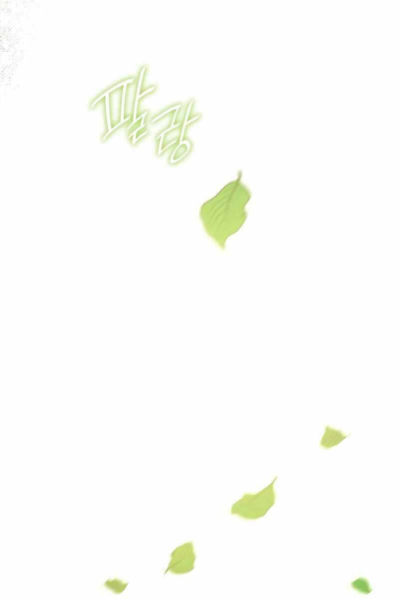 Đại Pháp Sư Toàn Năng - Chap 33 - Trang 2