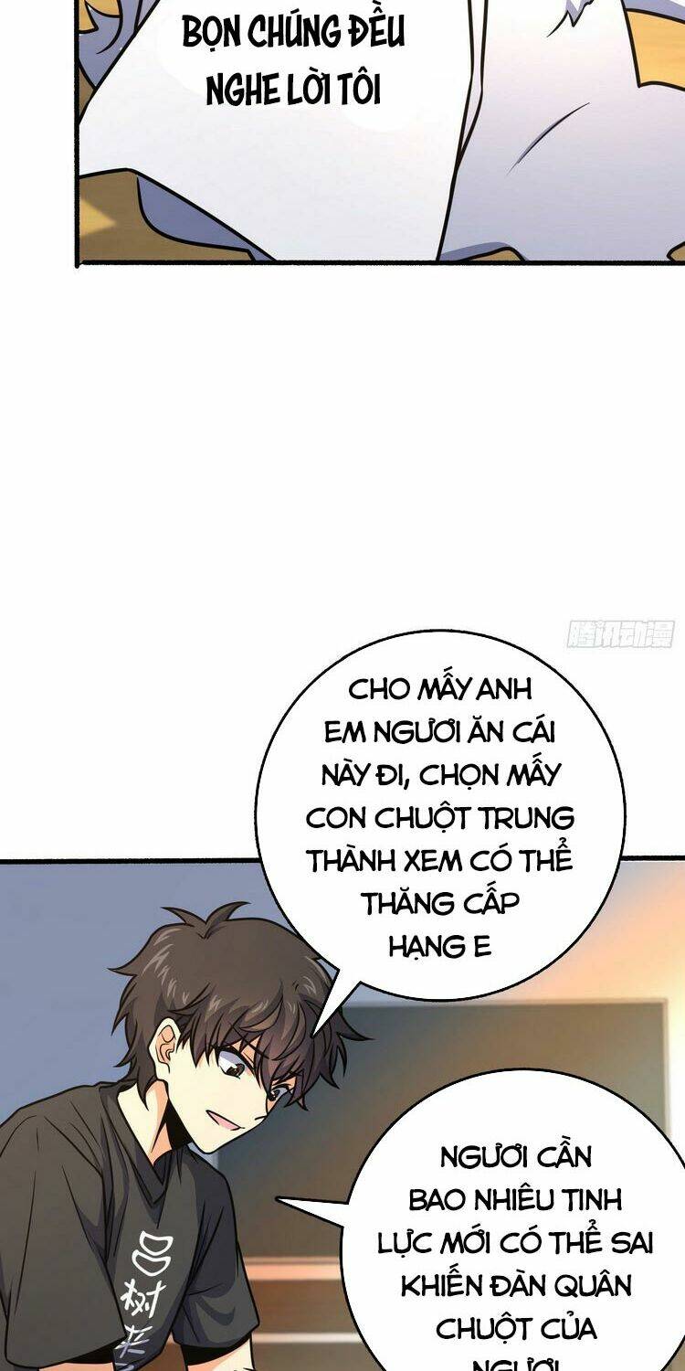 Chương 255 - Trang 14