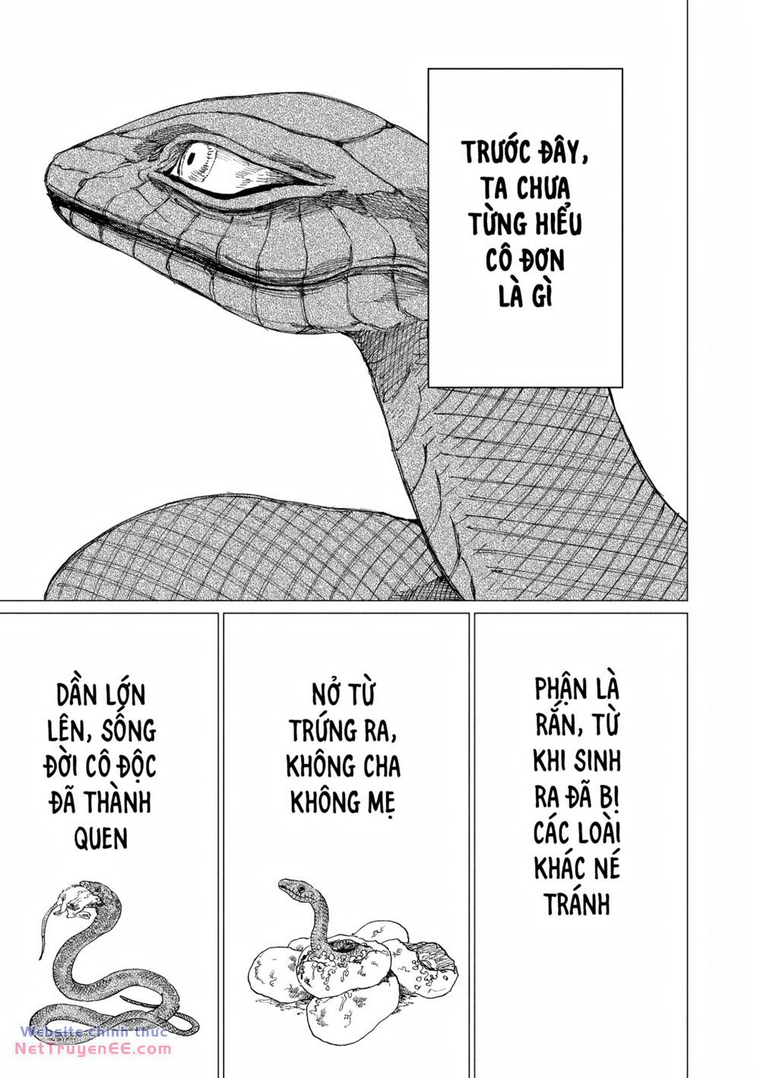 Chương 14 - Trang 41