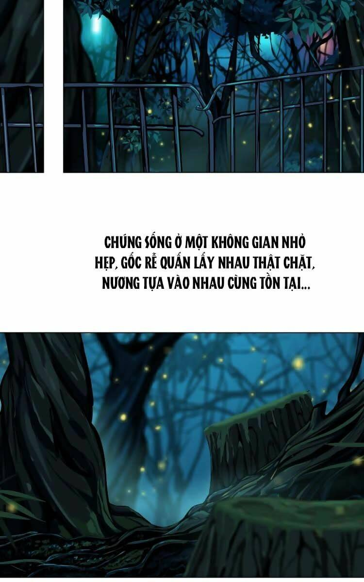 Chương 4 - Trang 14