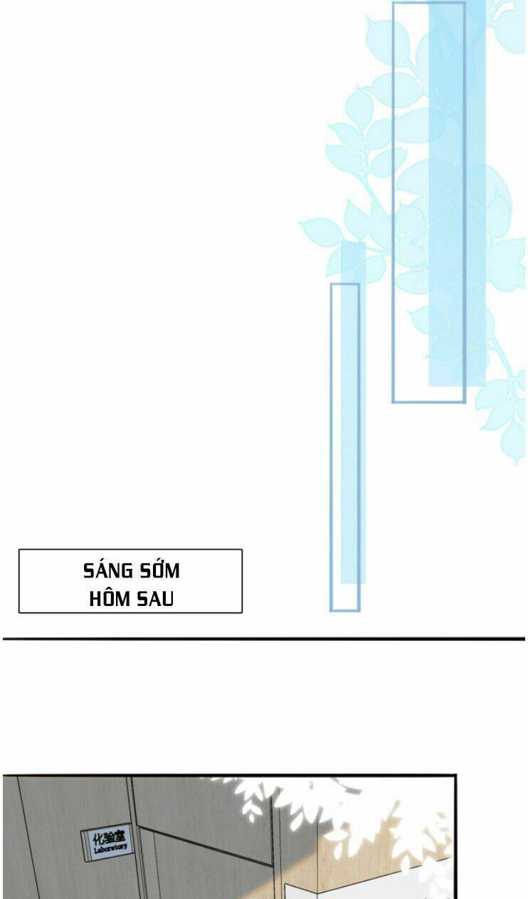 Chương 239 - Trang 21