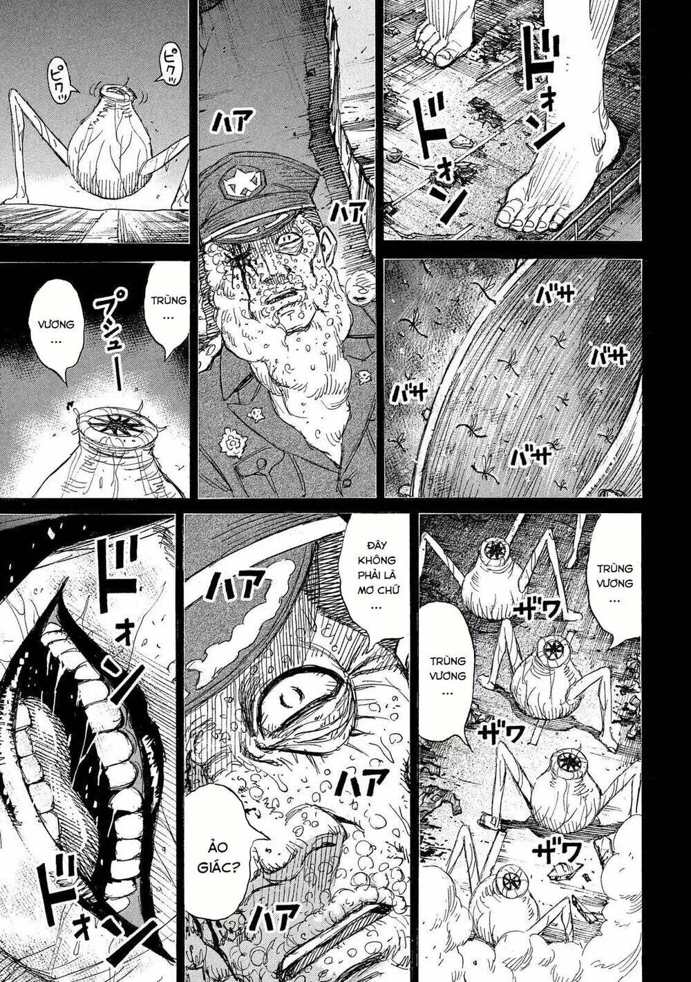 Chương 229 - Trang 17