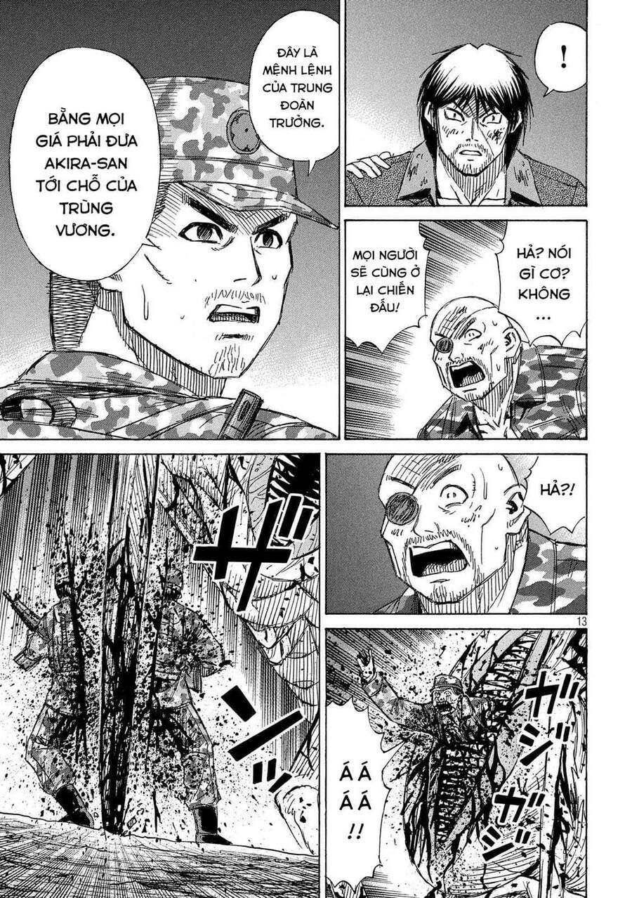 Chương 237 - Trang 14