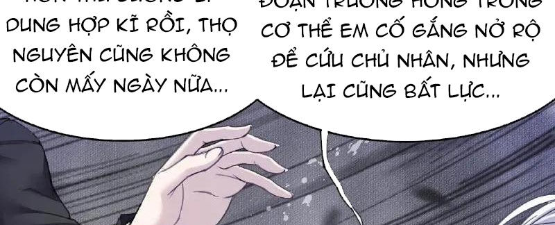 Chương 336 - Trang 58