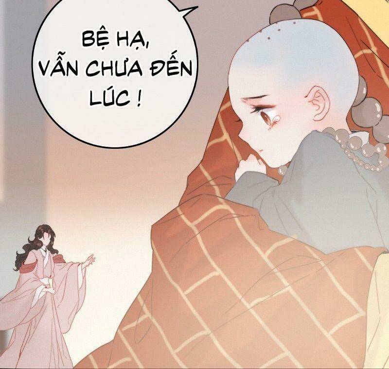 Chương 17 - Trang 40
