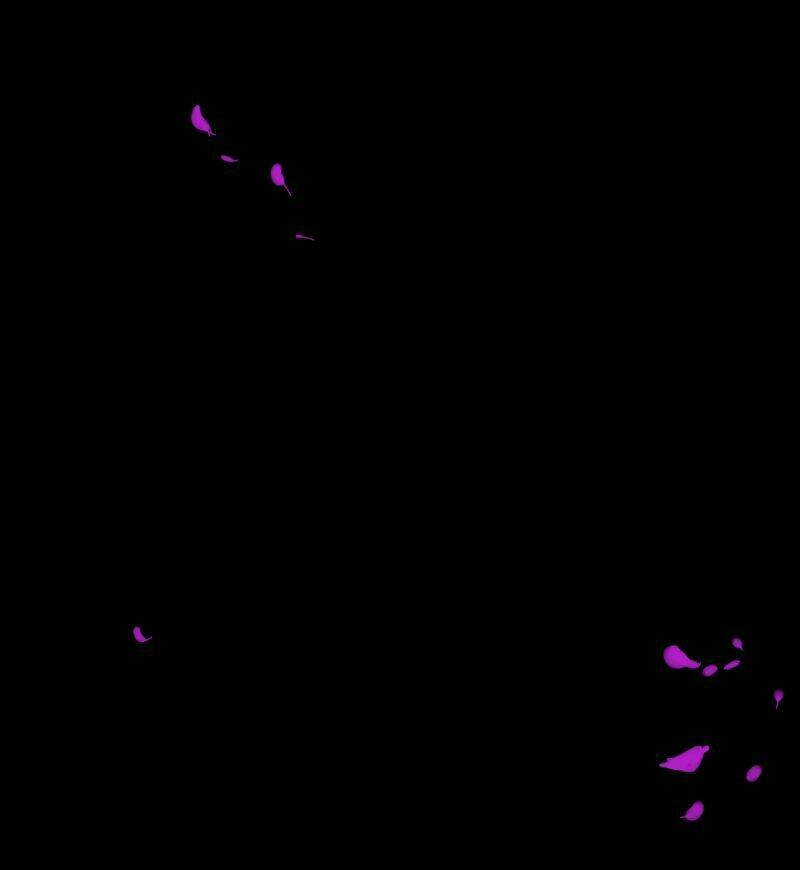 Chương 8 - Trang 67