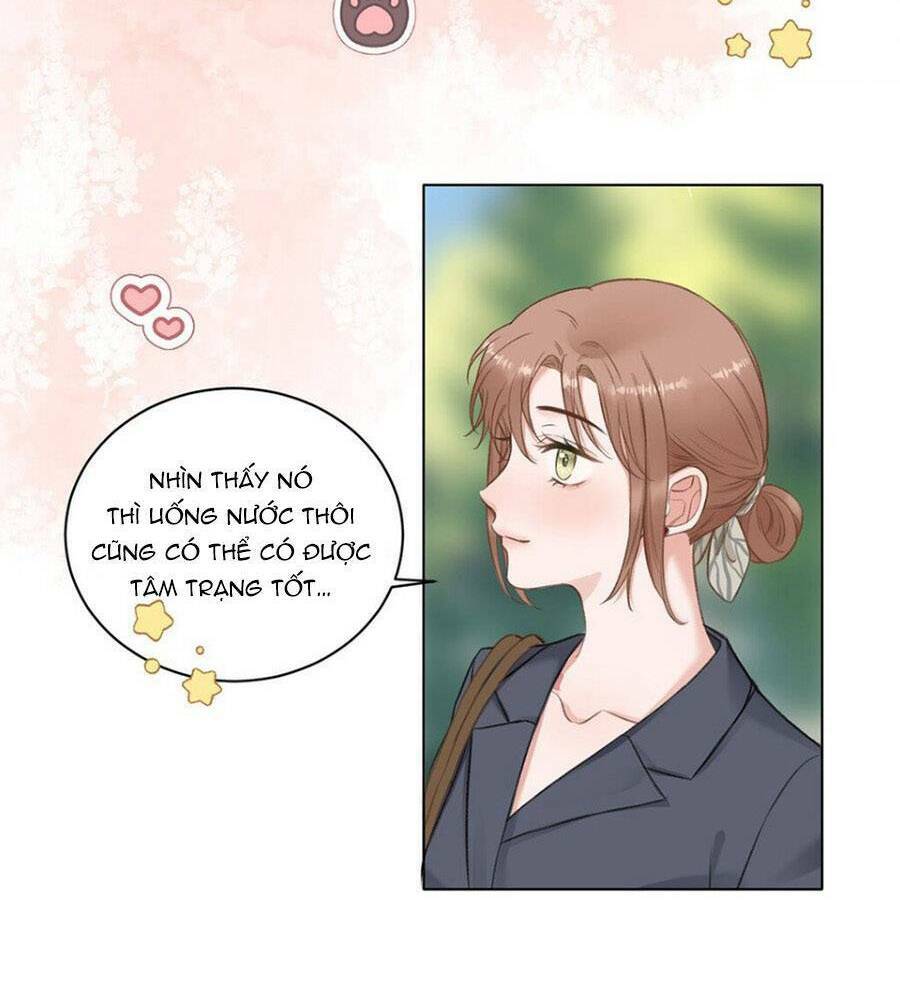 Chương 20 - Trang 17