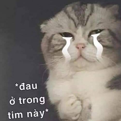 Chương 17 - Trang 21